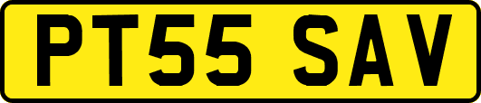 PT55SAV