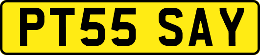 PT55SAY