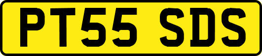 PT55SDS