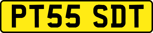 PT55SDT