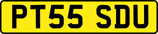 PT55SDU