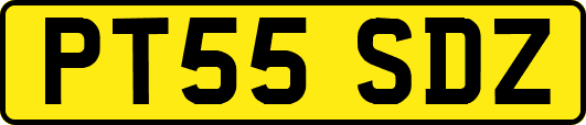 PT55SDZ