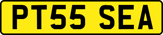 PT55SEA