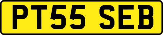 PT55SEB