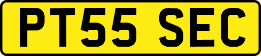 PT55SEC