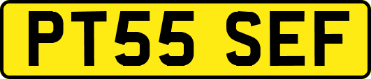 PT55SEF