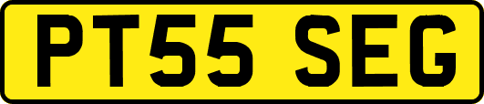 PT55SEG