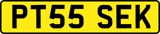 PT55SEK