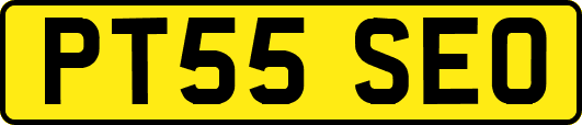 PT55SEO
