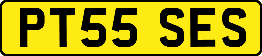 PT55SES