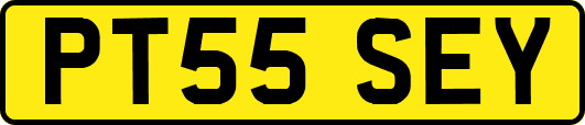 PT55SEY