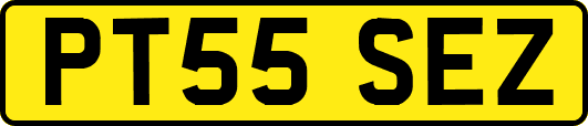 PT55SEZ