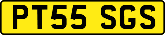 PT55SGS