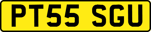 PT55SGU