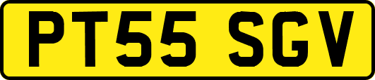 PT55SGV
