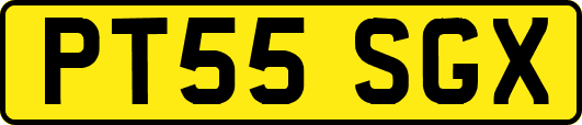 PT55SGX