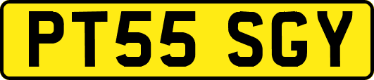 PT55SGY