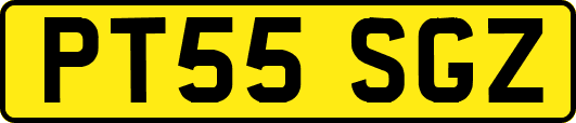 PT55SGZ