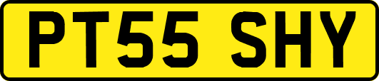 PT55SHY