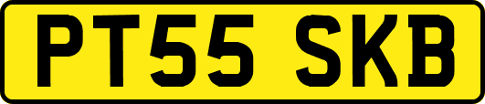 PT55SKB