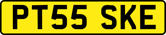 PT55SKE