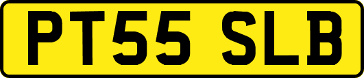 PT55SLB