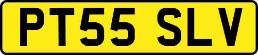 PT55SLV