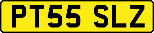 PT55SLZ