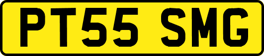 PT55SMG
