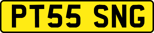PT55SNG