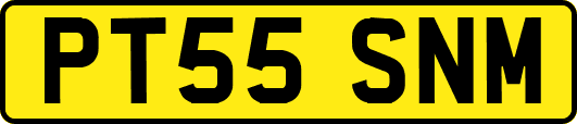 PT55SNM
