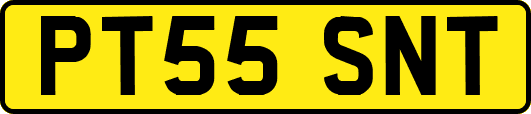PT55SNT