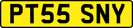 PT55SNY