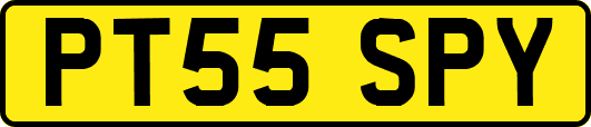 PT55SPY