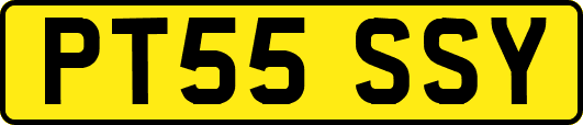 PT55SSY