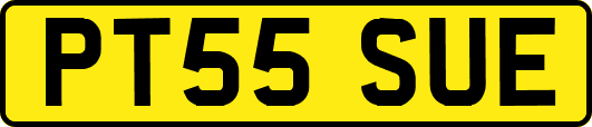 PT55SUE