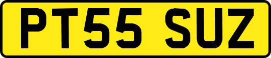 PT55SUZ