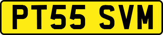 PT55SVM