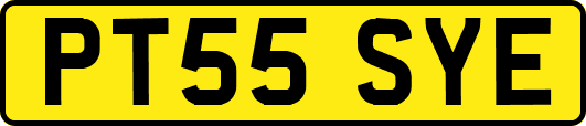 PT55SYE