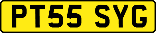 PT55SYG