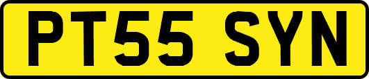 PT55SYN