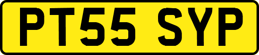 PT55SYP