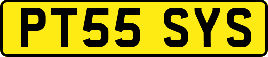 PT55SYS