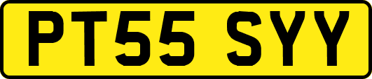 PT55SYY