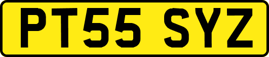 PT55SYZ