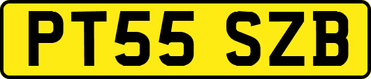 PT55SZB
