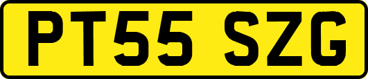 PT55SZG