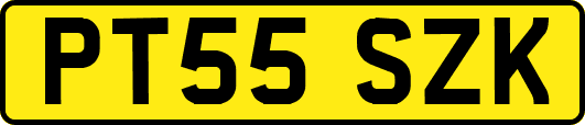 PT55SZK