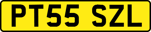 PT55SZL