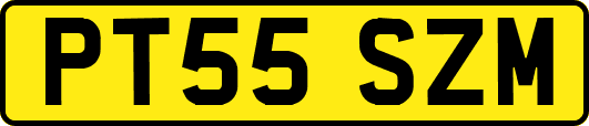 PT55SZM